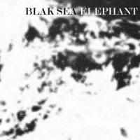 Blak Sea Release 'elephant' Single