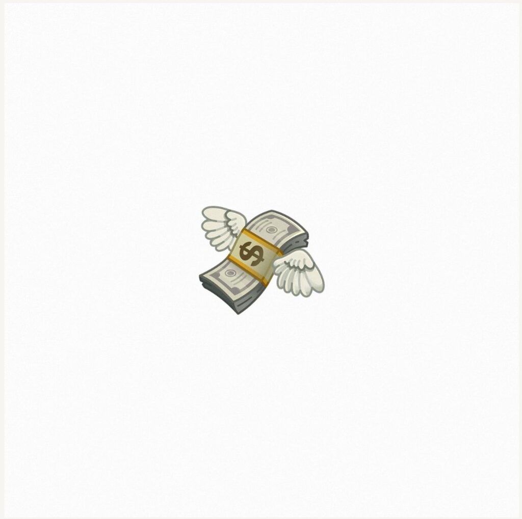 Blindrcover