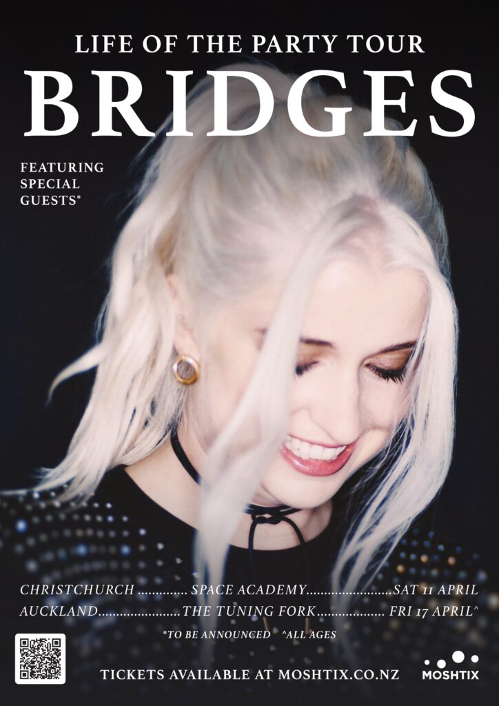 Bridgesposter