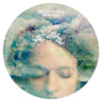 Bruno Merz Releases 'set Of Wings'; New Single And Video