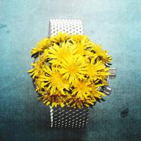 Church & Ap Drop &lsquo;dandelion&rsquo;, The First Track From Forthcoming Debut Album