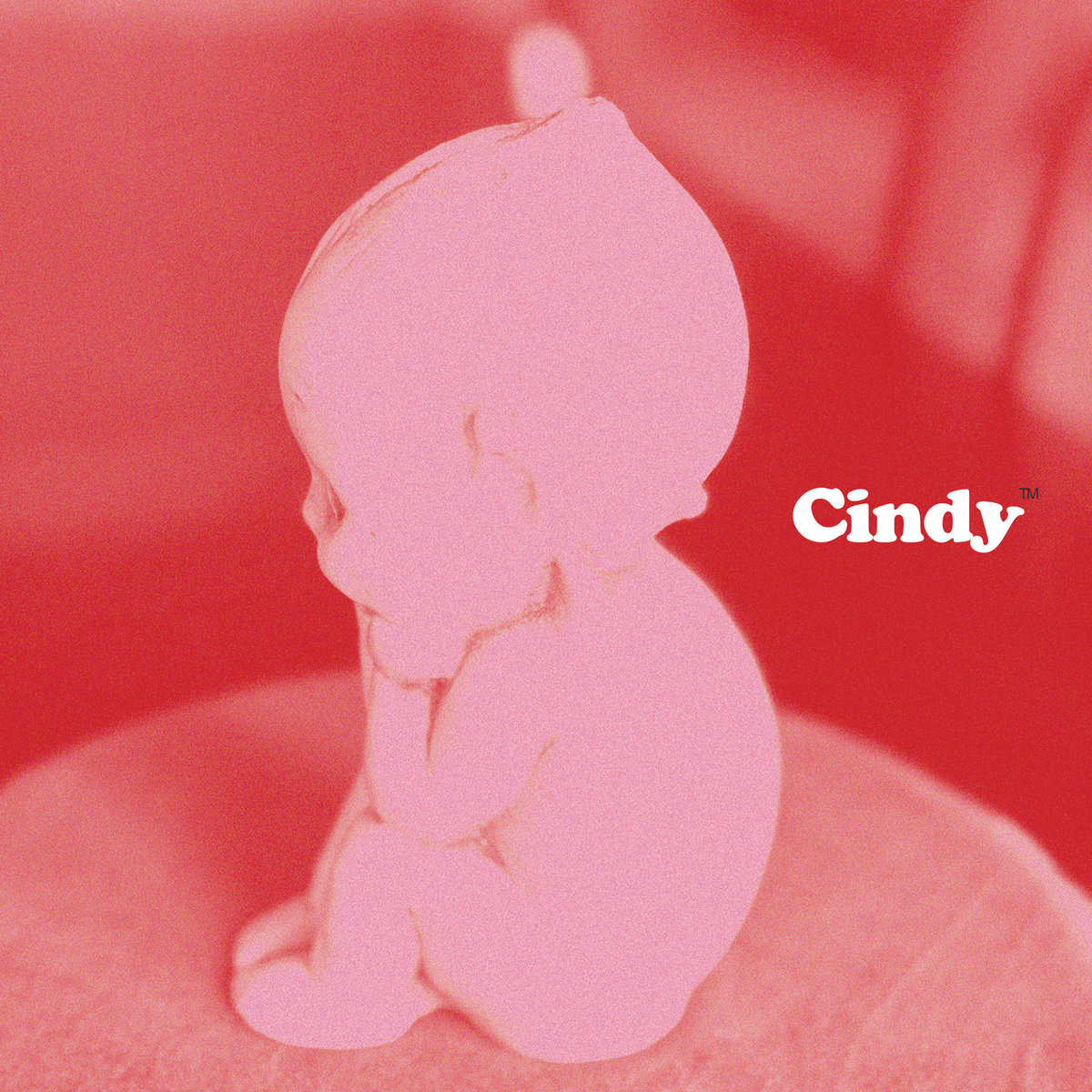 Cindycover