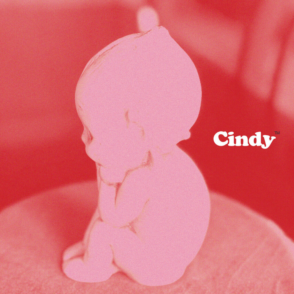 Cindycover