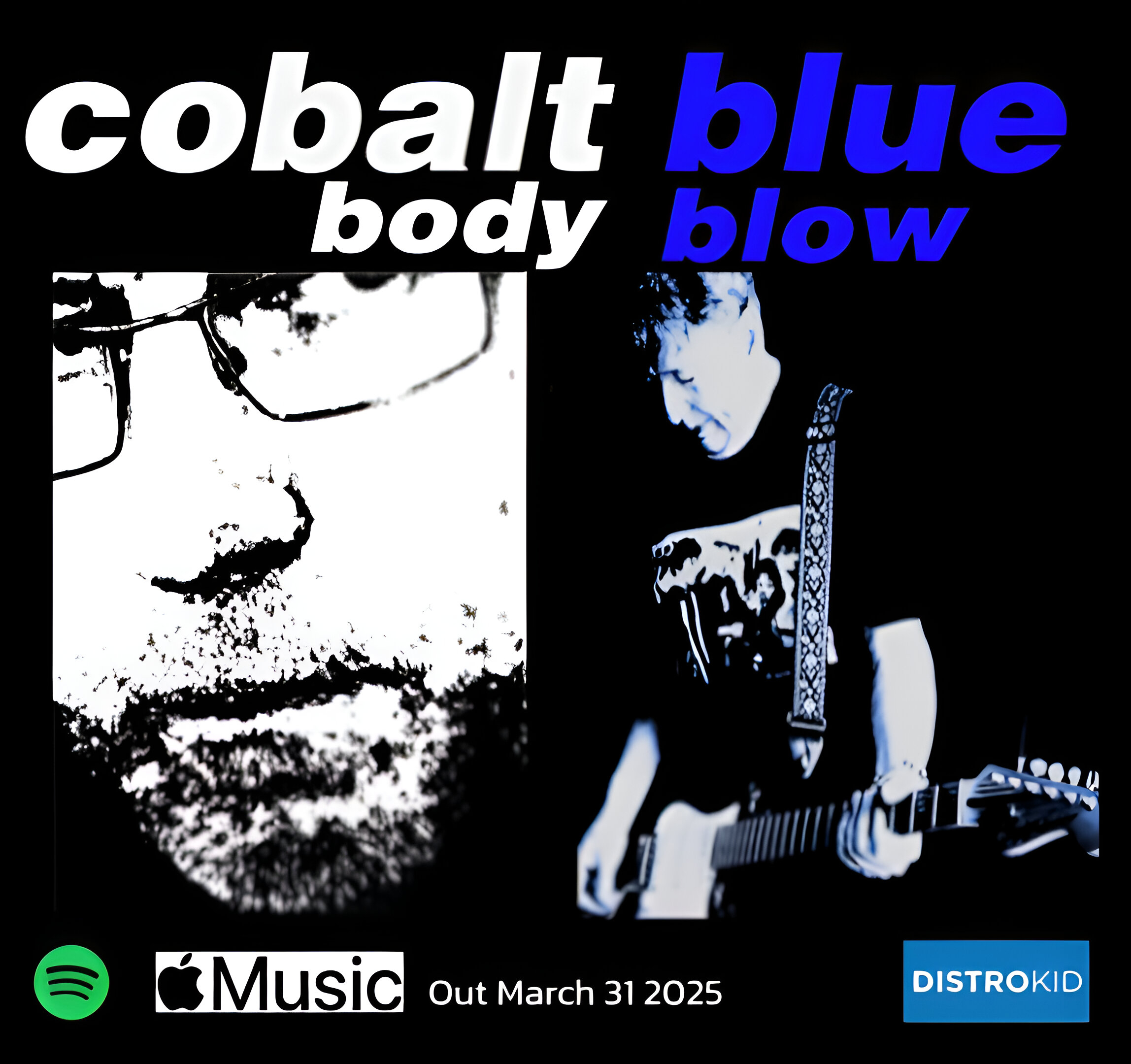 Cobaltbluecover