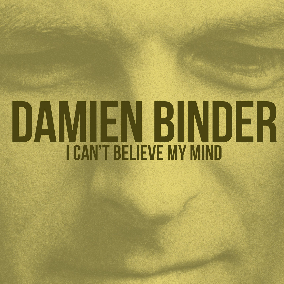 Damienbindercover