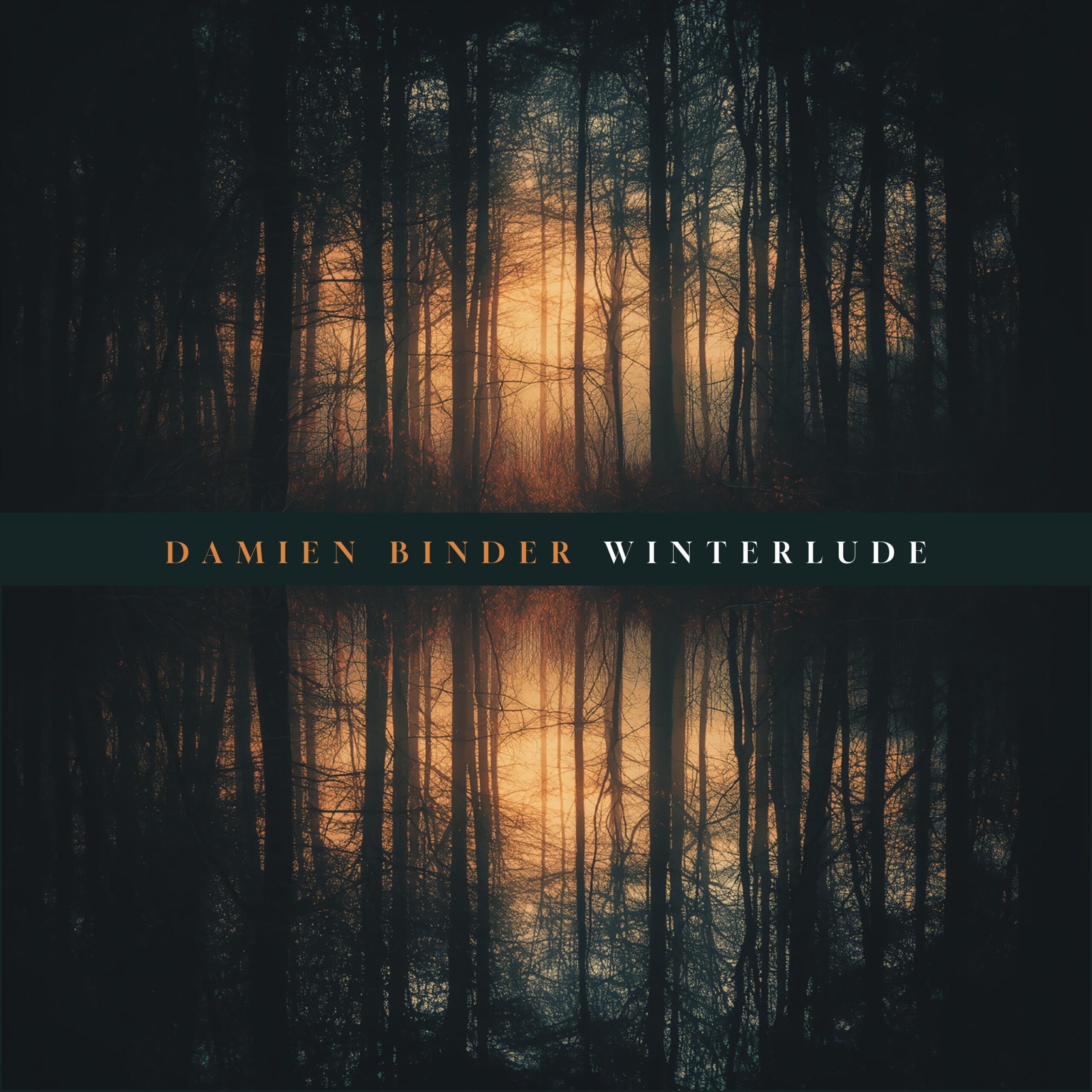 Damienbindercover