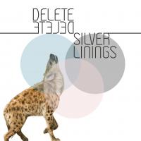 Delete Delete Video For 'silver Linings'