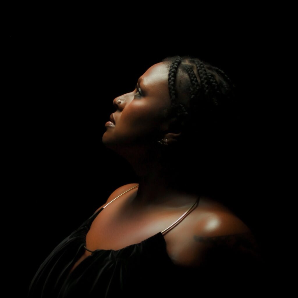 Devamahalcover
