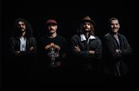 Dolphin Friendly Drop Searing Rock Fuelled Single + Video 'radical Desire'