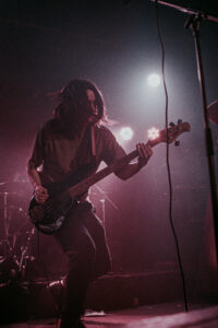 Donalphoto