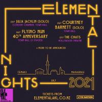 Elemental Nights Festival Returns For 2021