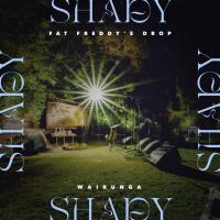 Fat Freddy's Drop Releases New Single 'shady'