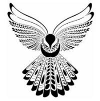 Fly My Pretties&shy; Summer Sunday Cast Announcement & New Single