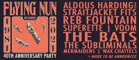 Flying Nun Announce Wellington 40th Anniversary Show