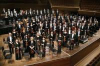 Future Of Nzso Assured