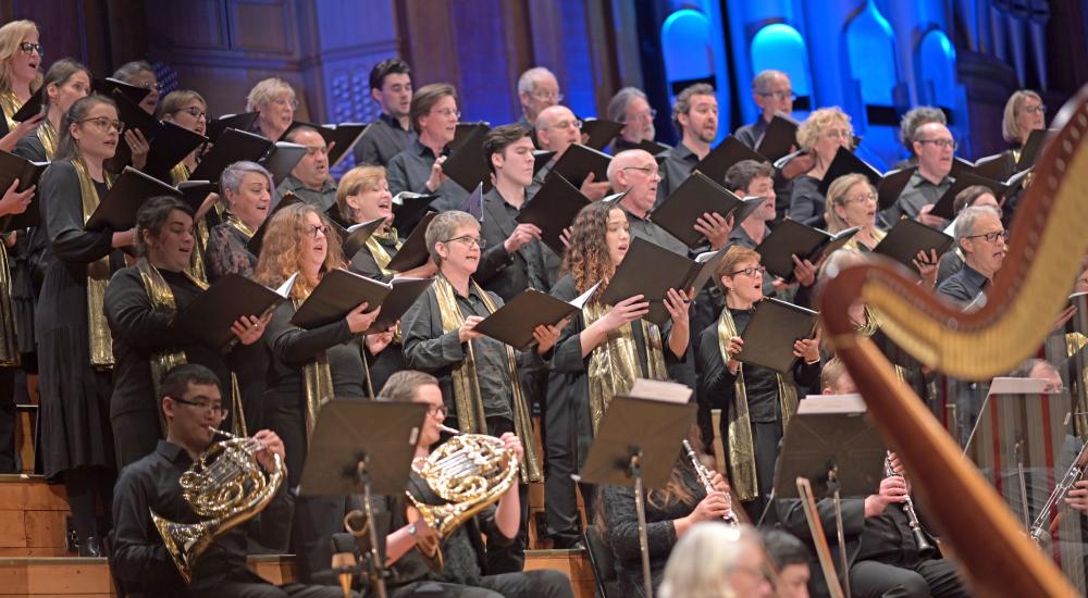 Get Into The Christmas Spirit With Bach Musica Nz