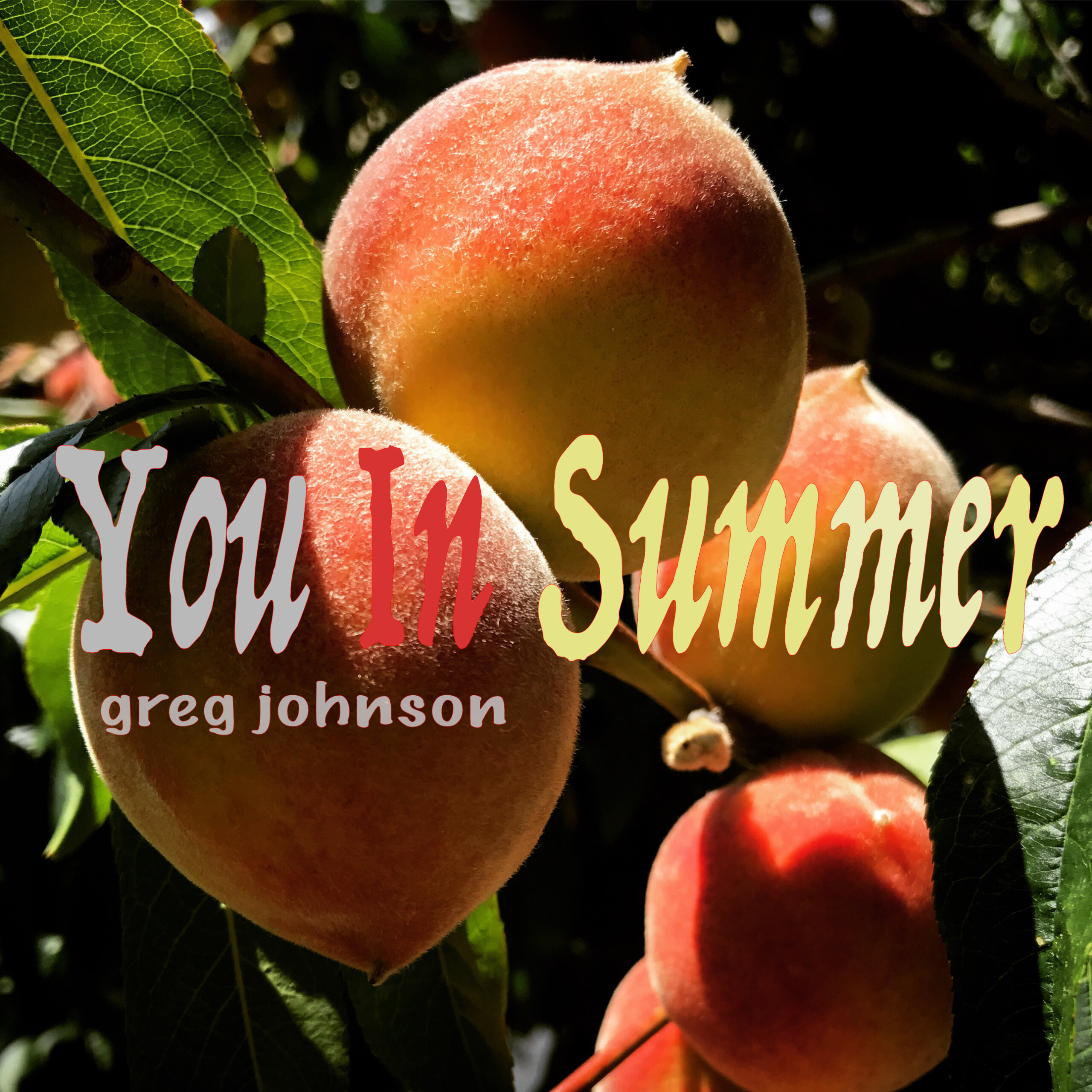 Gregjohnsoncover