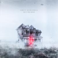 'grey Suburbia' From Edy X Bea Moon