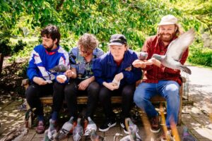 Ha The Unclear Announce Nz Album Release Tour