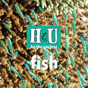 Ha The Unclear Release New Single 'fish' The First Single From A New Collection Of Work
