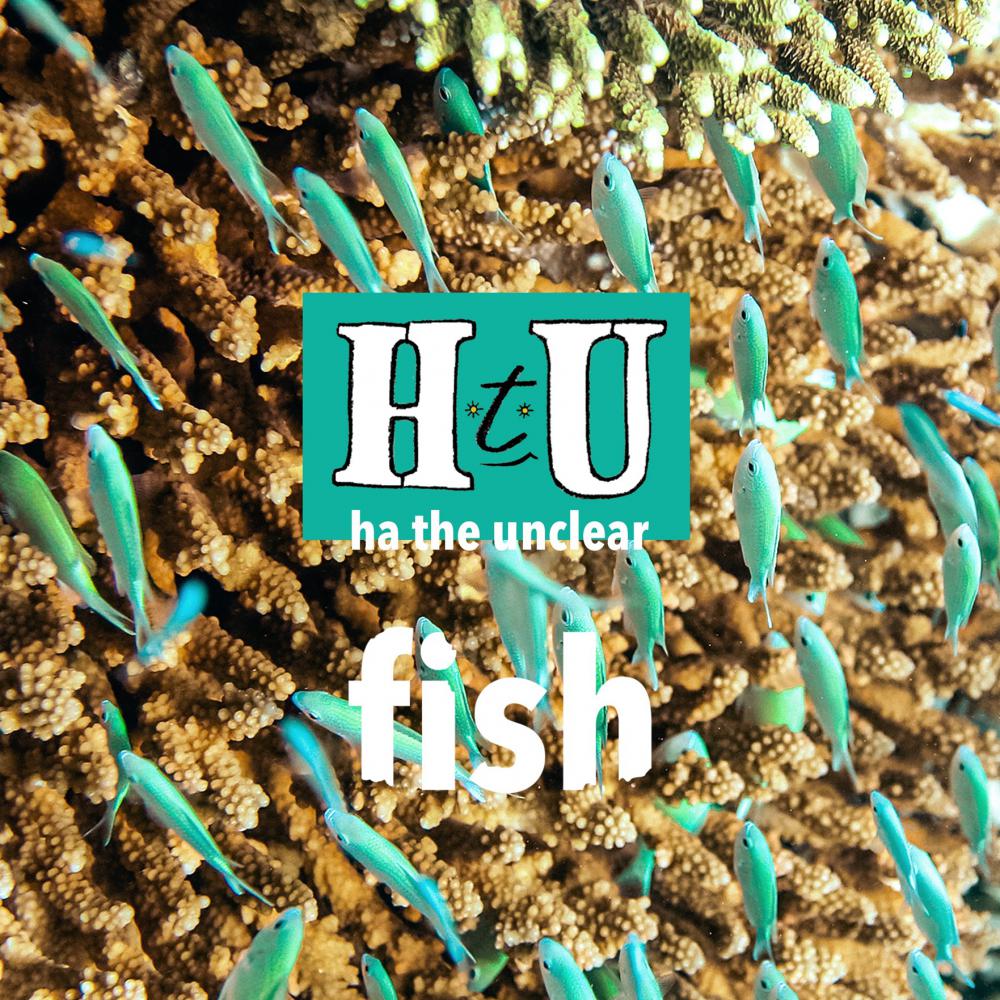 Ha The Unclear Release New Single 'fish' The First Single From A New Collection Of Work