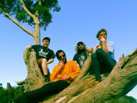 Ha The Unclear To Support The Dandy Warhols