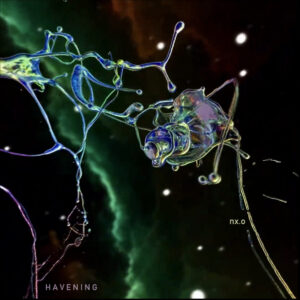 Haveningcover
