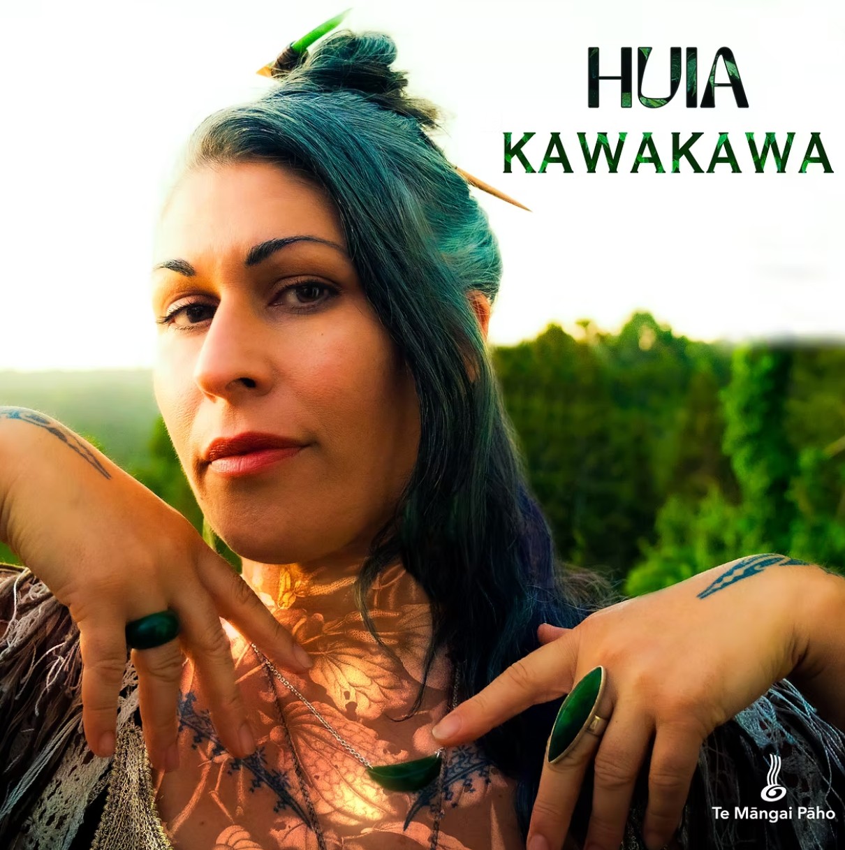 Huiacover
