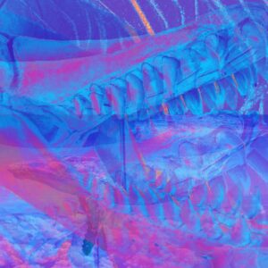 In Celebration Of Mahuru Māori, Jordyn With A Why&rsquo;s Reo Māori Single 'he Rei Niho' Releases Today