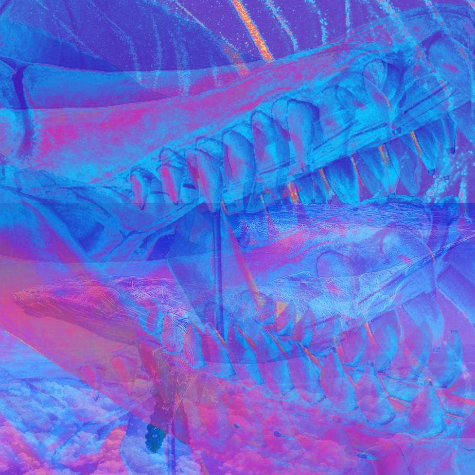 In Celebration Of Mahuru Māori, Jordyn With A Why’s Reo Māori Single 'he Rei Niho' Releases Today
