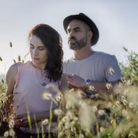 In The Shallows Release Sweet Kiwi Summer Song 'let It Go'