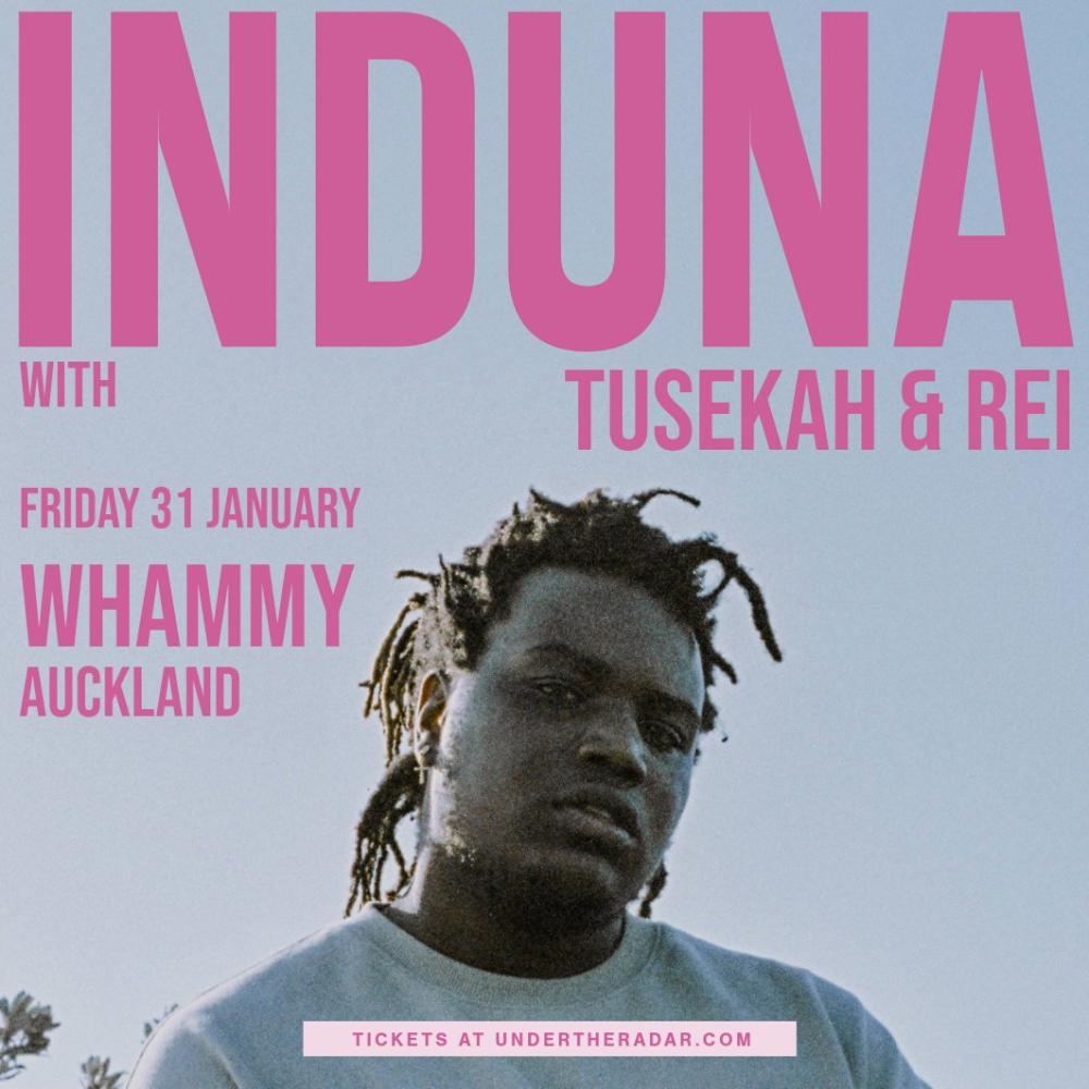 Induna Presents A Night Of Fusion Afro Pop, Soul And Modern Electronic Sounds
