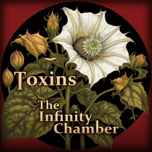Infinitychambercover