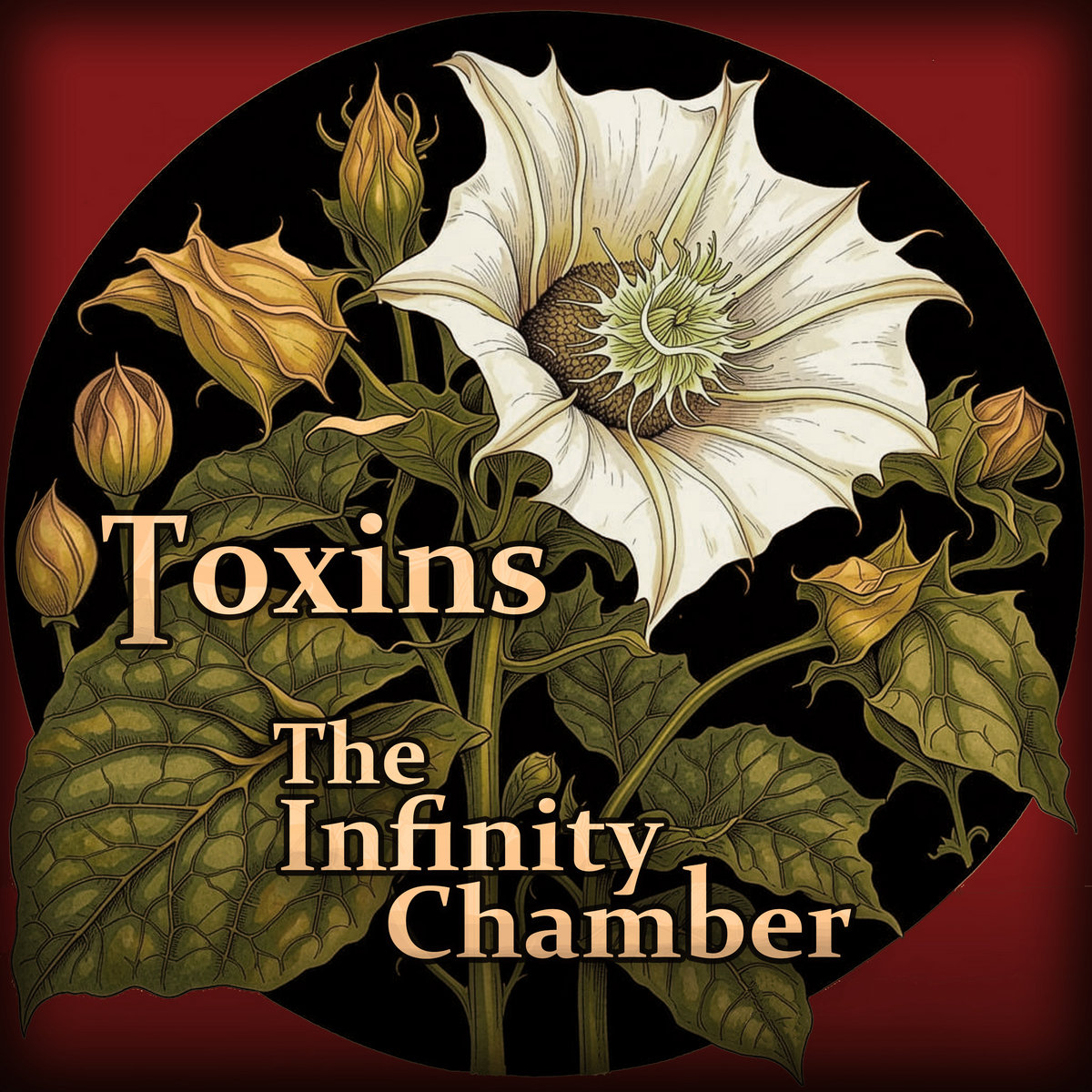 Infinitychambercover