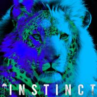 'instinct' By Rei Music Video Out Now