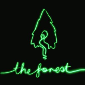 Introducing 'the Forest' By The Polly Johnson Set