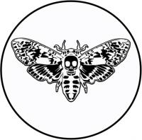 Introducing The New Single From Black Velvet Butterfly 'the Poverty Moth'
