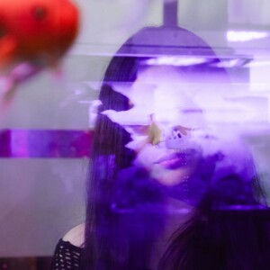 Iriszhangcover