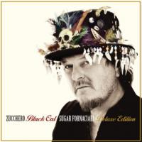 Italian Superstar Zucchero Nz Show May 2017