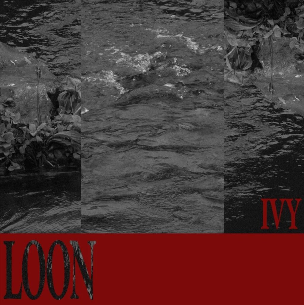 Ivycover