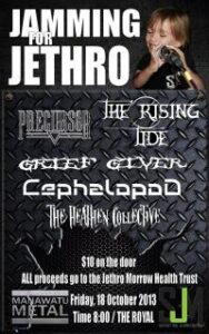 Jammin For Jethro 2013 Raising Funds For The ½ Million Dollar Little Boy