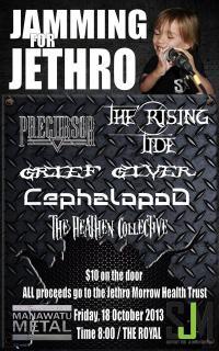 Jammin For Jethro 2013 Raising Funds For The ½ Million Dollar Little Boy