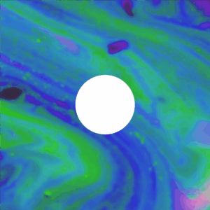 Kadynwebstercover