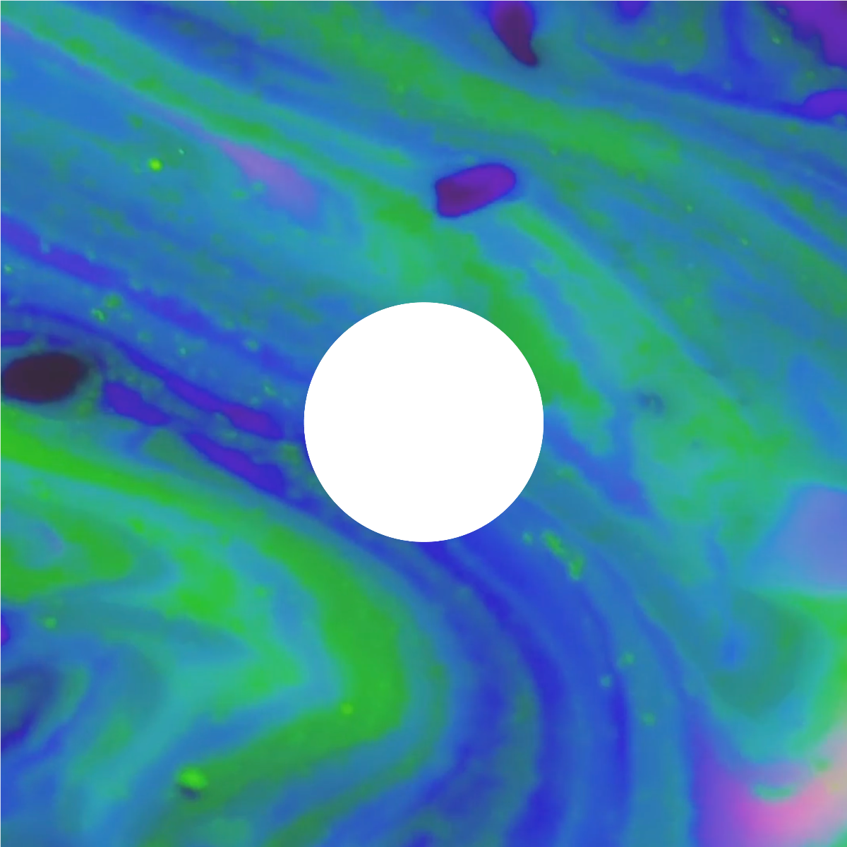 Kadynwebstercover