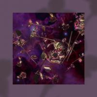 La Coco Is Back With Ethereal New Single 'gone' + Official Video