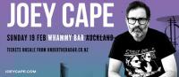 Lagwagon Frontman Joey Cape At Auckland's Whammy Bar In February