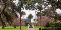 Laneway Festival New Zealand Reveals New Location