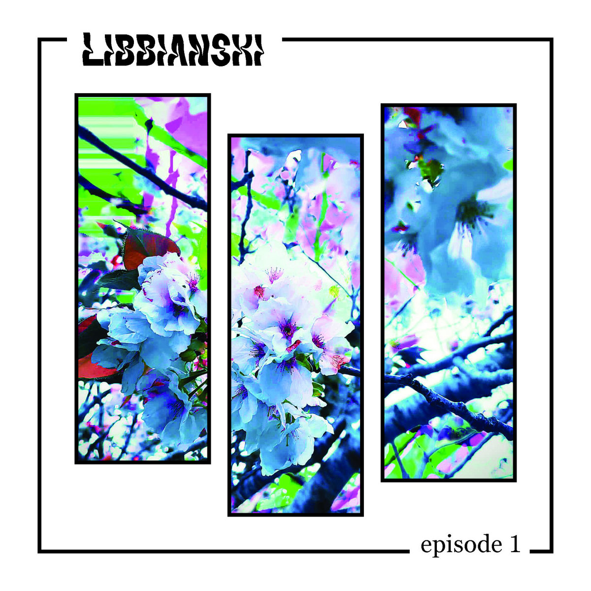 Libbianskicover