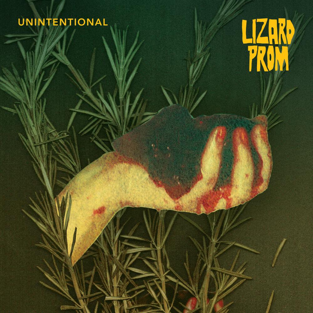 Lizard Prom Share New Single 'unintentional'