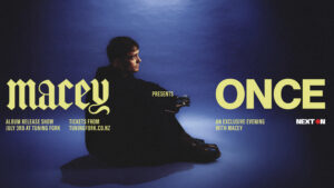 Maceybanner